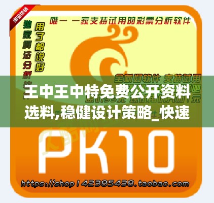 王中王中特免费公开资料选料,稳健设计策略_快速版NFG13.63