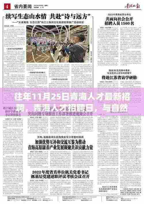 青海人才招聘日,与自然共舞,寻找人才与内心的宁静之旅