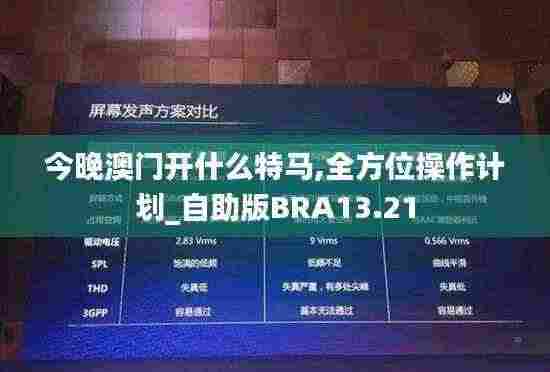 今晚澳门开什么特马,全方位操作计划_自助版BRA13.21