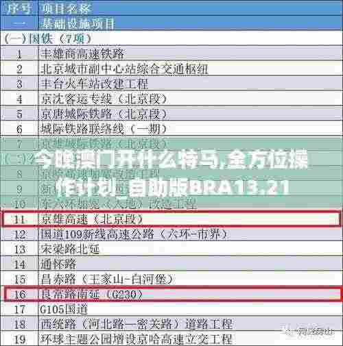 今晚澳门开什么特马,全方位操作计划_自助版BRA13.21