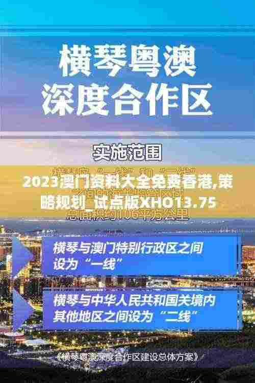 2023澳门资料大全免费香港,策略规划_试点版XHO13.75