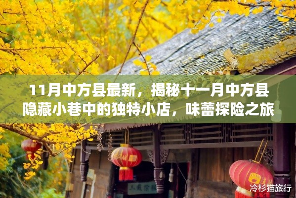 揭秘十一月中方县隐藏小巷的独特小店,味蕾探险之旅