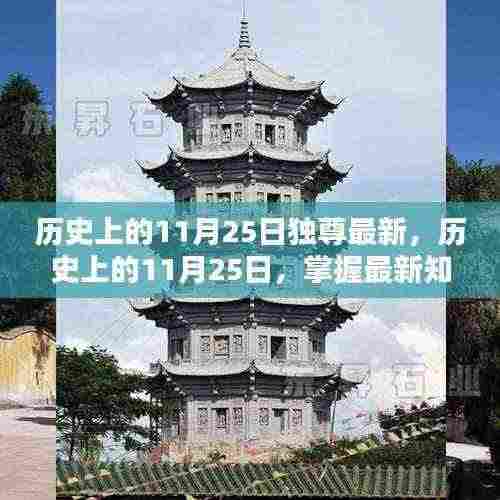 历史上的11月25日,最新知识掌握与个人巅峰达成指南