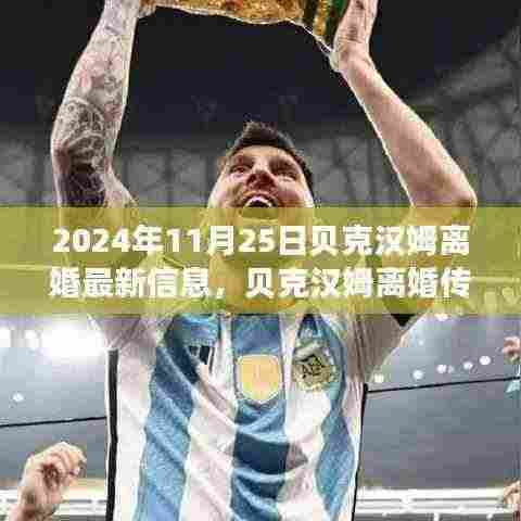 贝克汉姆离婚传闻揭秘,最新进展分析与传闻背后的真相(2024年11月25日)