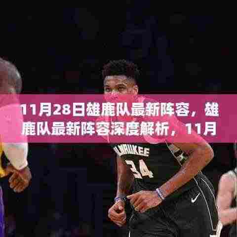 雄鹿队最新阵容深度解析,崛起之路与未来展望(11月28日更新)