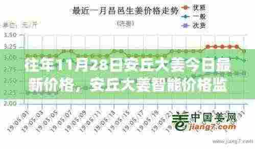 安丘大姜最新价格揭秘,智能监测系统展现高科技风采