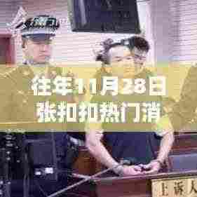 往年11月28日张扣扣的热门消息追踪指南,详细步骤解析