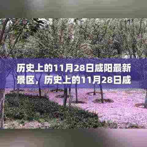 历史上的11月28日咸阳景区游玩全攻略,从入门到精通的探索之旅