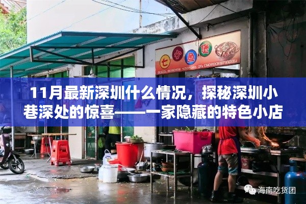 探秘深圳小巷深处的惊喜,11月最新深圳特色小店揭秘