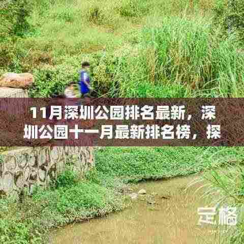深圳公园十一月最新排名榜，探寻城市绿意盎然之地的最新排名榜单