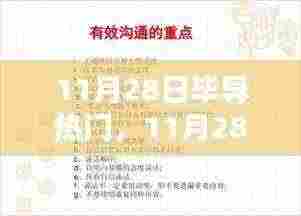 11月28日毕导热门任务全攻略，一步步成为专家