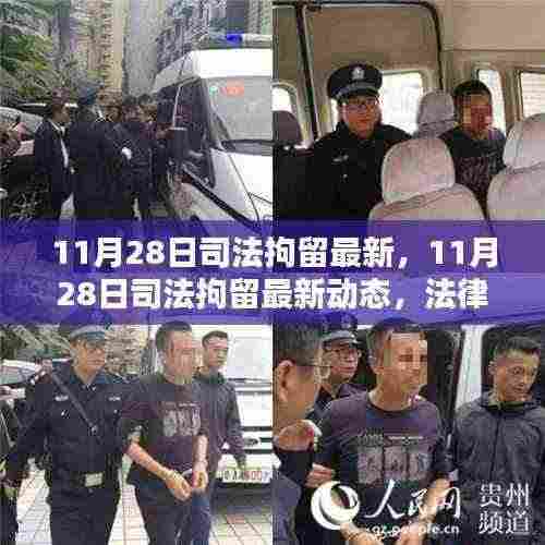 11月28日司法拘留最新动态,法律执行新趋势与案例分析
