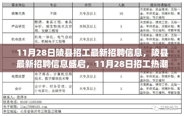 11月28日陵县招工热潮背后的故事与影响,最新招聘信息解析