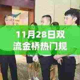 揭秘双流金桥未来规划,蓝图展望与热点解读