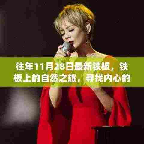 铁板上的自然之旅,探寻内心的宁静与喜悦