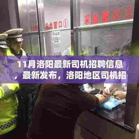 11月洛阳司机招聘信息热点,职业机遇的理想选择