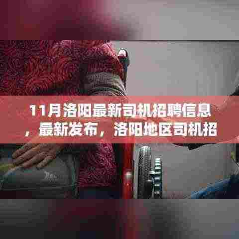 11月洛阳司机招聘信息热点,职业机遇的理想选择