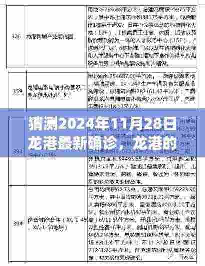龙港日常,友情、爱与陪伴的温馨故事,猜测最新确诊背后的故事(2024年11月28日)
