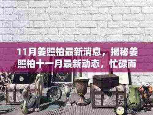 揭秘姜照柏11月最新动态,忙碌而精彩的时刻