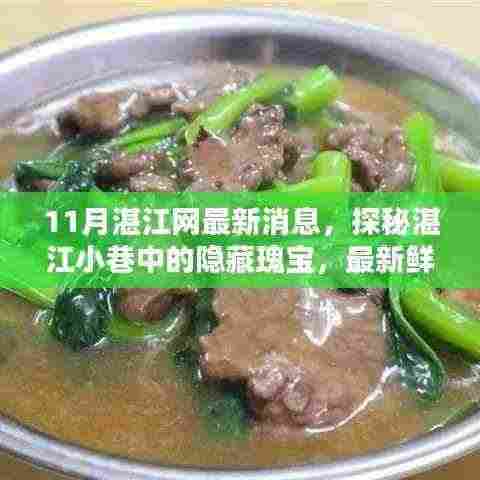 探秘湛江小巷隐藏瑰宝,最新特色小店独家报道(11月湛江网最新消息)