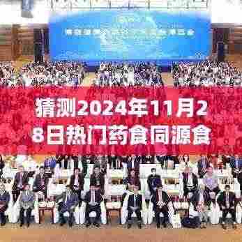 药食同源食品目录展望,预测与深度解析,热门药食同源食品目录展望到2024年11月28日