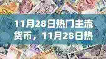零基础入门指南,把握11月28日热门主流货币的投资机遇