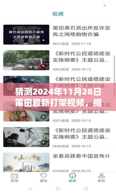 揭秘莆田最新打架视频,获取、分析与步骤指南(预测2024年11月28日)