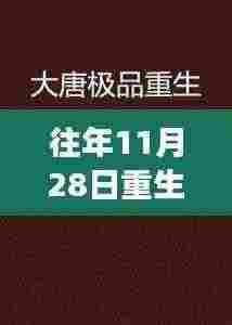往年11月28日重生极品人家,命运奇妙重生之旅