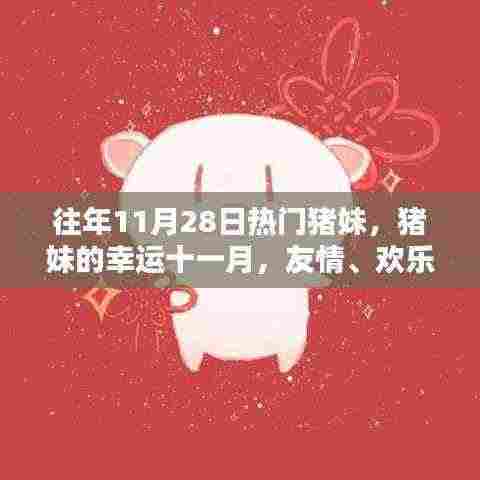 猪妹的幸运十一月,友情、欢乐与家的温暖盛宴