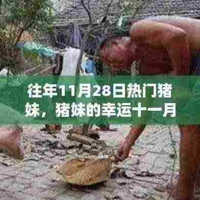 猪妹的幸运十一月,友情、欢乐与家的温暖盛宴