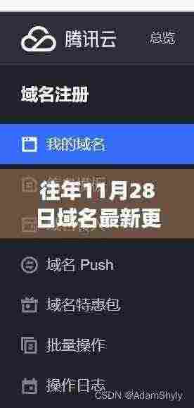 友情魔法与意外域名之旅,最新域名纪元揭秘