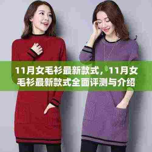 『11月女毛衫最新款式全解析与评测』