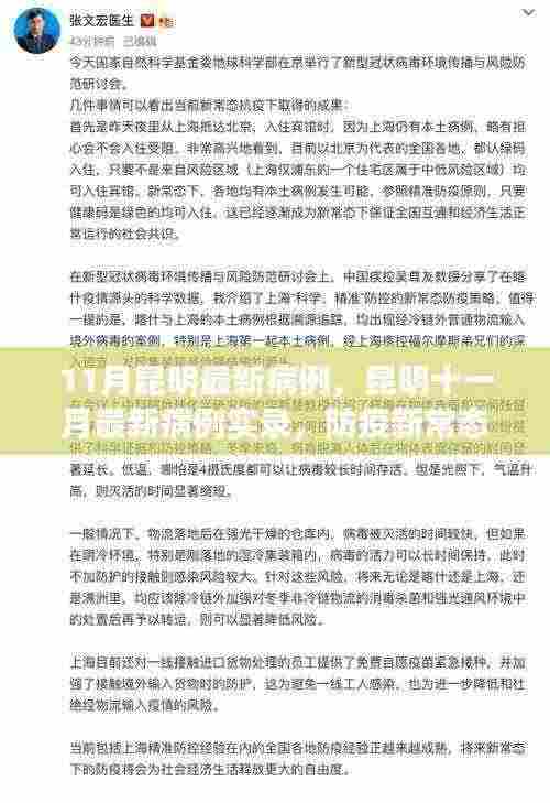昆明十一月最新病例实录,防疫新常态下的生活观察