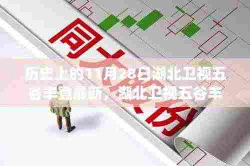 湖北卫视五谷丰登启程探寻自然美景之旅,历史上的11月28日最新篇章