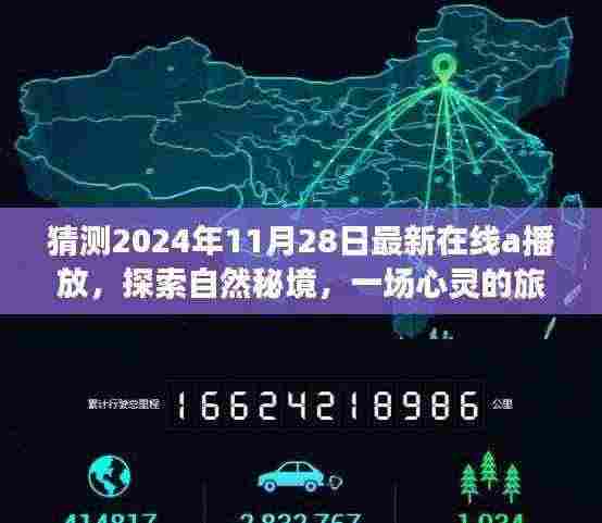 鸷鸟不群 第5页