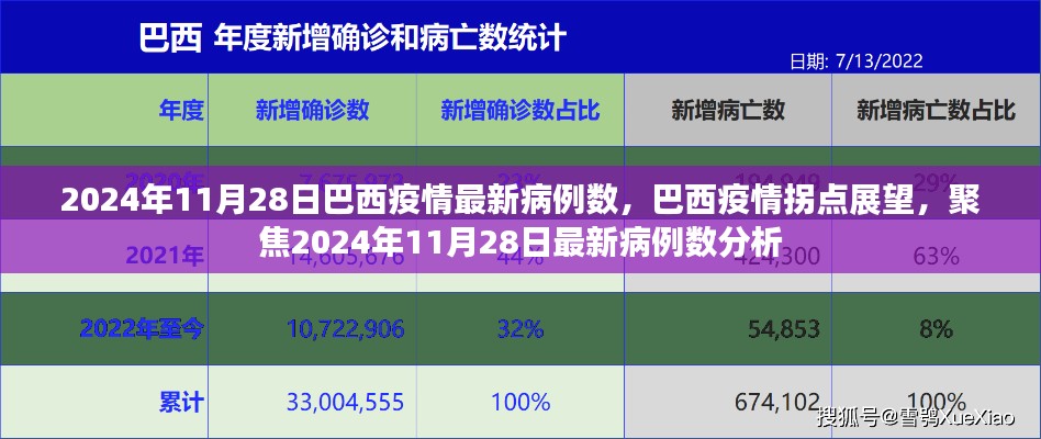 2024年11月28日巴西疫情最新动态与拐点展望