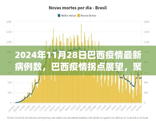 2024年11月28日巴西疫情最新动态与拐点展望