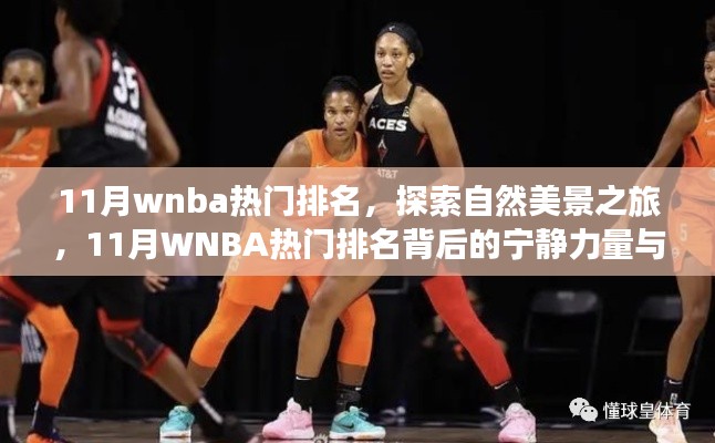 贵而贱目 第6页