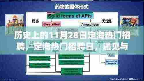 定海招聘日回顾,遇见与陪伴的温暖故事在历史上的今天展开
