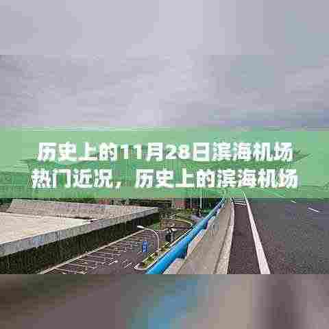 揭秘滨海机场，历史上的热门近况与操作指南（初学者与进阶用户必读）