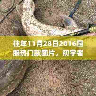 往年11月28日热门园服款式回顾与搜索攻略,初学者与进阶用户的时尚记忆搜寻指南