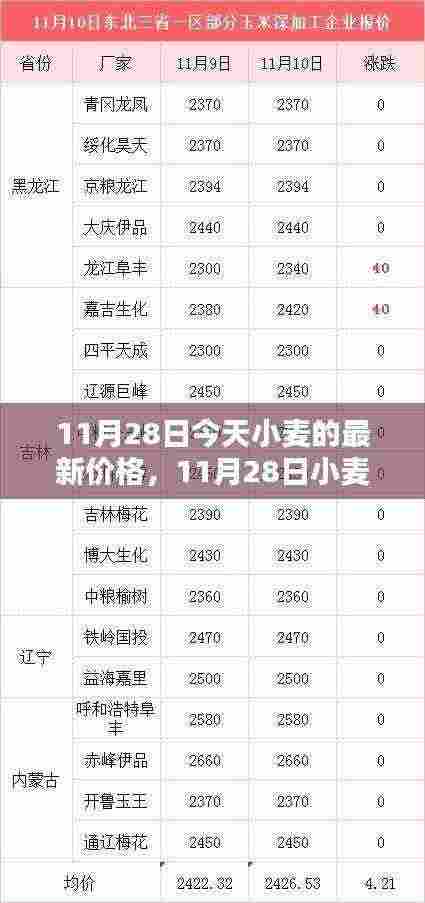 11月28日小麦最新价格走势分析与观点探讨