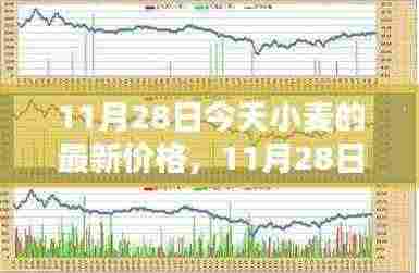 11月28日小麦最新价格走势分析与观点探讨
