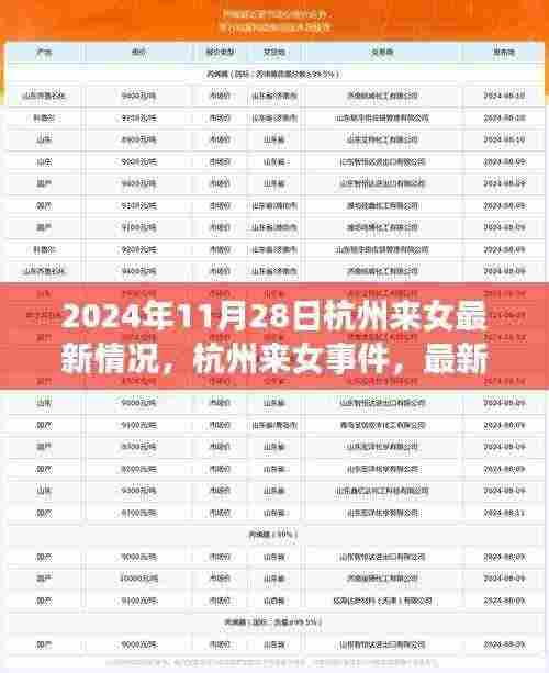 杭州来女事件最新进展与深远影响观察（2024年11月报告）