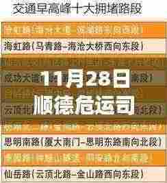 11月28日顺德危运司机招聘启事,驾驭变化,驶向成功自信之旅!