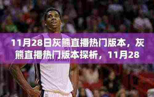 灰熊直播热门版本探析,11月28日的直播魅力与争议焦点揭秘