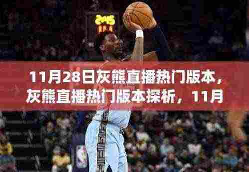 灰熊直播热门版本探析,11月28日的直播魅力与争议焦点揭秘