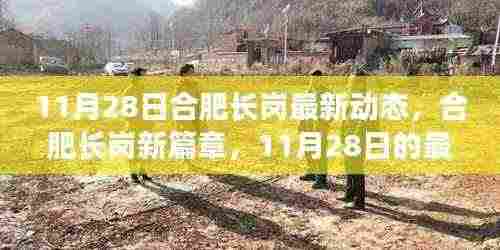 合肥长岗新篇章,11月28日最新动态及其深远影响