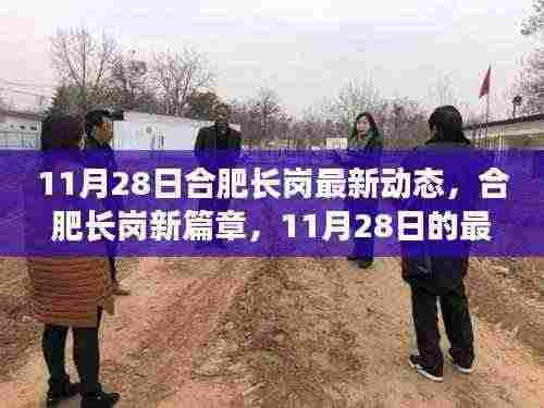 合肥长岗新篇章,11月28日最新动态及其深远影响