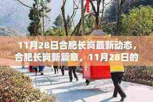 合肥长岗新篇章,11月28日最新动态及其深远影响